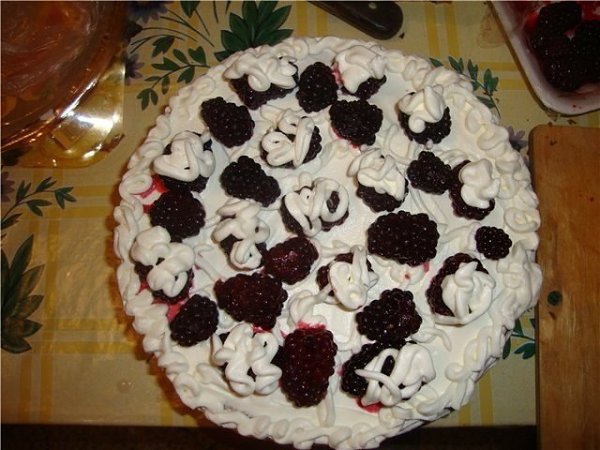 Зефирный тортик. Такой торт делается 20-30 минут, а вкуснотища получается! Ингредиенты: - 0,5 л ...