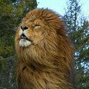 ���� ���������, ���������, 60 ��� - ��������� 30 ������ 2019 � ������ ���� ����������