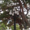 , ,15.08.19.8.55. &quot; &quot;    - 2019