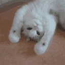 ���� ~~~Galina~~~~, ����������, 64 ���� - ��������� 2 ������ 2020 � ������ ���� ����������