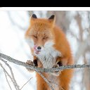 ���� ����, ��������� - ��������� 10 ���� 2019