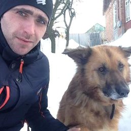 �����, ��������������, 41 ���