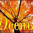 ���� ����������, �����, 58 ��� - ��������� 13 ������� 2019 � ������ ���� ����������