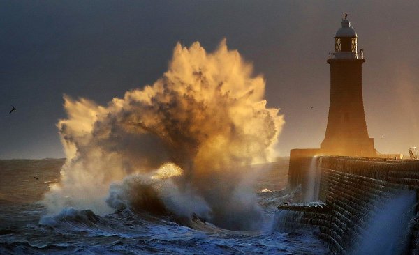 ,     Weather Photographer of the Year 2019 - 5