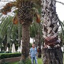 ���� ������� �� ��������, �����, 67 ��� - ��������� 17 �������� 2019 � ������ ���� ����������