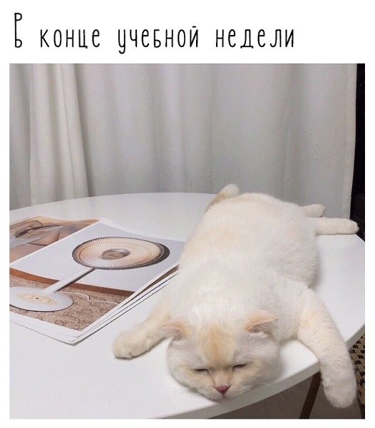   - 13  2019  02:12