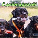 ���� ����, ��������, 67 ��� - ��������� 21 ���� 2019 � ������ �5 ������� �������