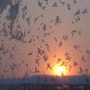 ���� ��������, ���������, 65 ��� - ��������� 24 ������ 2019 � ������ ���� ����������