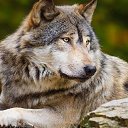 ���� ������, ���������� - ��������� 18 ��� 2019 � ������ ���� ����������