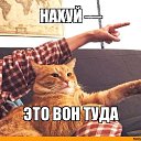���� ������, ������� - ��������� 25 �������� 2019 � ������ ���� ����������