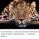 ���� ����, ������ - ��������� 6 ������� 2019 � ������ ������ ��������