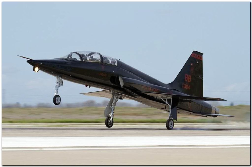   -38. T-38       ... - 8