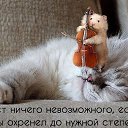 ���� ��������, ������, 69 ��� - ��������� 16 ������ 2019 � ������ ������ ��������