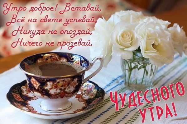 ***Victoria Viktorovna*** - 27  2019  09:24