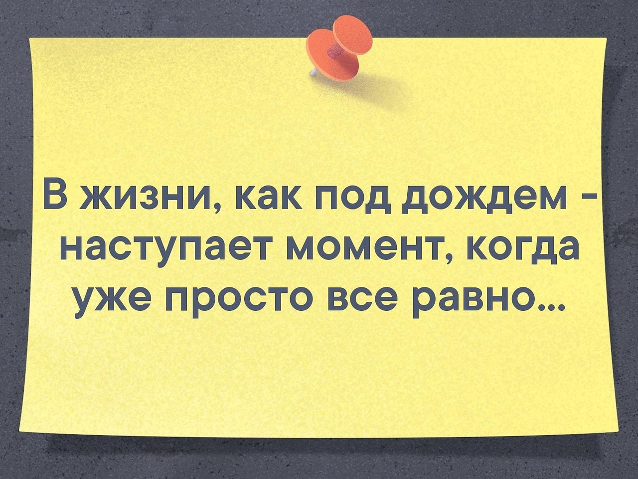    - 23  2019  03:47