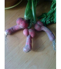 О ЧЁМ ДУМАЛА, КОГДА САЖАЛА.....)))._________________________________________