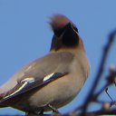  ,  -  5  2019      2019