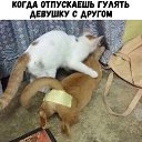 ���� ���������, ��������, 59 ��� - ��������� 23 ������ 2019 � ������ ������ ��������