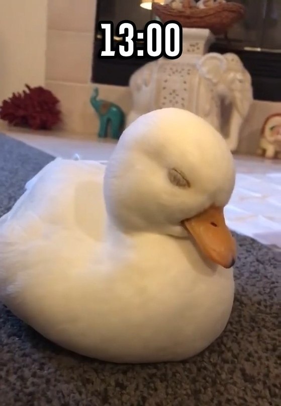 ��o �� � �a���� �e��! - 2