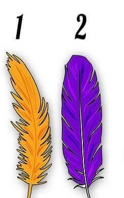 ����: �������� ������ � �������, ��� ��� ������� � ����� ��������.������ � �������������������?