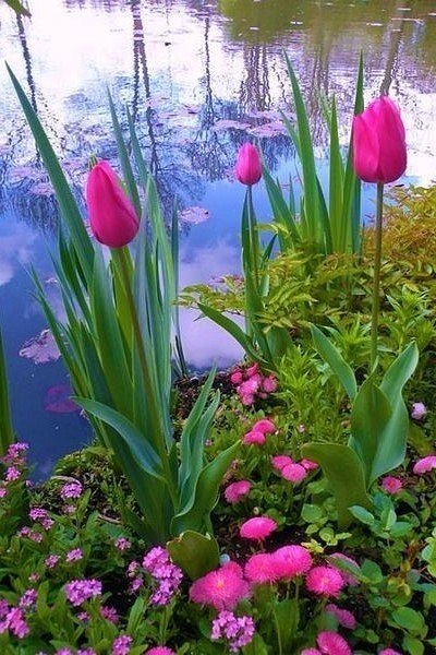  ! - 22  2019  14:57 - 5