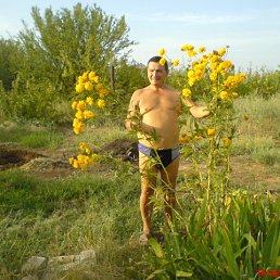 ���������, ������� ��