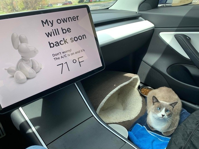 ��� ��� ������ - ��������� ������.