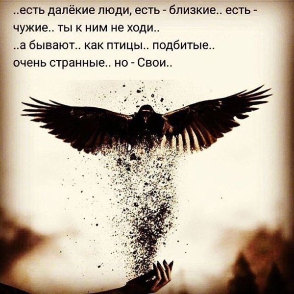 ���� - 1 �������� 2019 � 14:36