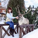 ���� �������, ������ - ��������� 27 ������ 2019 � ������ ���� ����������