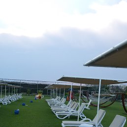 �����, ������, 66 ���