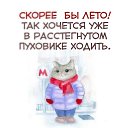���� ������, �����-���������, 41 ��� - ��������� 31 ��� 2019 � ������ ������ ��������