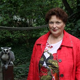 ���������, ������������, 79 ���