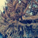  , , 50  -  9  2019    2019