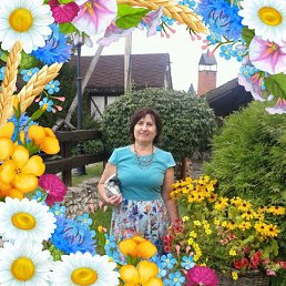 , 65, 