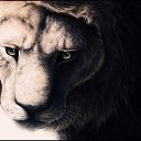 ���� �������, �������, 37 ��� - ��������� 26 ������� 2019 � ������ ���� ����������