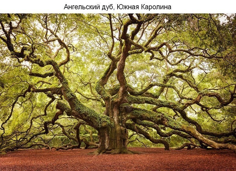9 a e e  o . ? - 7
