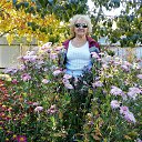 ���� �������, �����������, 73 ���� - ��������� 6 ������� 2019 � ������ ���� ����������