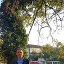 ���� �����, ������ - ��������� 29 ������� 2019 � ������ ���� ����������