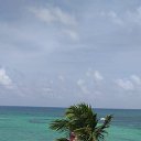 ���� �������..., ���������, 56 ��� - ��������� 12 ������� 2019 � ������ ���� ����������