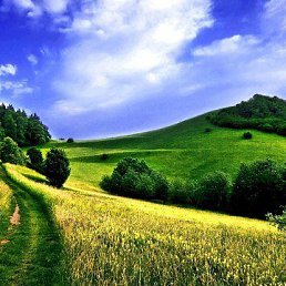 ���� ������, ��������, 36 ��� - ��������� 25 ������ 2019