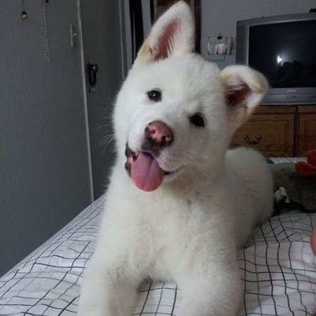 ���o�� � ������ �o���p���� :3 - 2