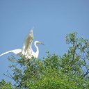 ���� _ �����, �����������, 49 ��� - ��������� 11 ������� 2019 � ������ ���� ����������