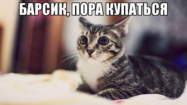    - 7  2019  18:53