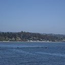  , , 70  -  12  2019   CA_2019_Capitola