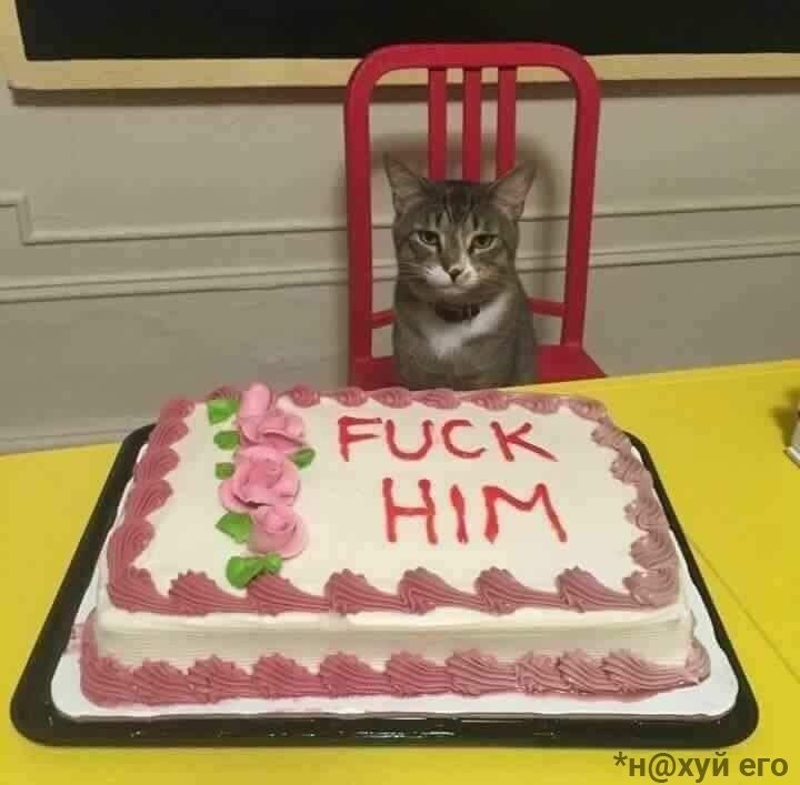    ,    -  