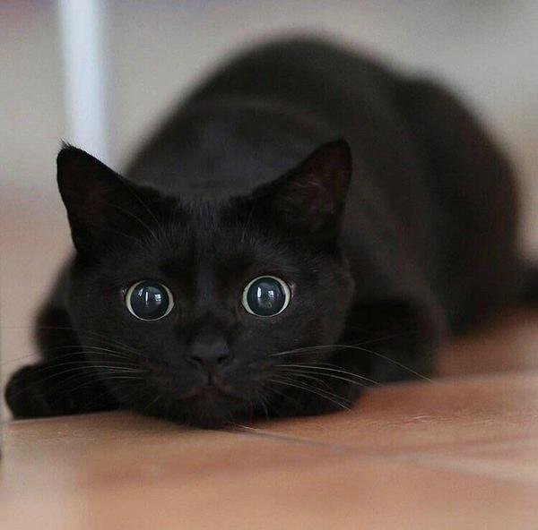   !