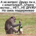  ,  -  15  2019    