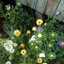 ���� �����, ������ - ��������� 23 ������� 2019 � ������ ���� ����������