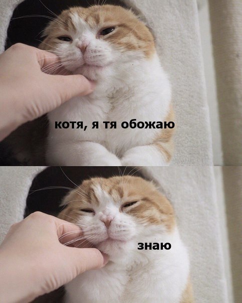    - 8  2019  19:15