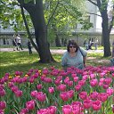 ���� ������, �����-���������, 52 ���� - ��������� 19 ��� 2019 � ������ ���